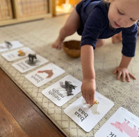 Two Little Ducklings Animal Sound Flashcards