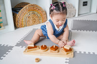 Natural Shape Sorter