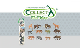 CollectA Tube - Dinosaurs (B)